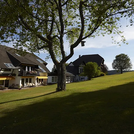 Hotel Zum Ochsen-3